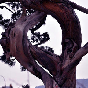 hold me in your memory (never let me go)